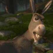 ヒメ日記 2025/05/17 00:45 投稿 みこと 激安ドットコム