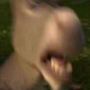 ヒメ日記 2025/05/17 01:45 投稿 みこと 激安ドットコム