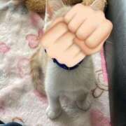 ヒメ日記 2025/05/17 07:05 投稿 みこと 激安ドットコム