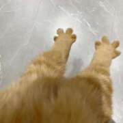 ヒメ日記 2025/06/24 23:00 投稿 みこと 激安ドットコム