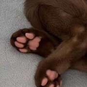 ヒメ日記 2025/08/11 19:30 投稿 みこと 激安ドットコム