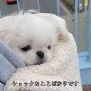 ヒメ日記 2025/08/20 07:41 投稿 みこと 激安ドットコム