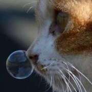 ヒメ日記 2025/10/01 09:04 投稿 みこと 激安ドットコム