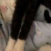 ヒメ日記 2025/10/15 07:08 投稿 みこと 激安ドットコム