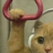 ヒメ日記 2025/11/11 08:52 投稿 みこと 激安ドットコム