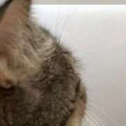 ヒメ日記 2025/11/25 01:30 投稿 みこと 激安ドットコム