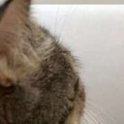 ヒメ日記 2025/11/25 02:35 投稿 みこと 激安ドットコム