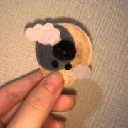 みこと ほしぞらネコの小さい赤ちゃん 激安ドットコム