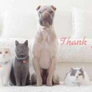 ヒメ日記 2025/03/04 17:50 投稿 松島 熟女の風俗最終章　鶯谷店