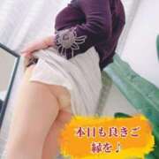 ヒメ日記 2025/03/28 14:23 投稿 松島 熟女の風俗最終章　鶯谷店