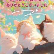 ヒメ日記 2025/05/04 15:56 投稿 松島 熟女の風俗最終章　鶯谷店