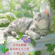 ヒメ日記 2025/06/01 17:46 投稿 松島 熟女の風俗最終章　鶯谷店