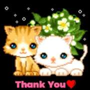 ヒメ日記 2025/06/23 18:06 投稿 松島 熟女の風俗最終章　鶯谷店