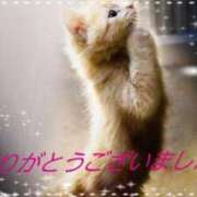 ヒメ日記 2025/06/27 16:36 投稿 松島 熟女の風俗最終章　鶯谷店