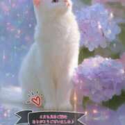 ヒメ日記 2025/07/02 16:26 投稿 松島 熟女の風俗最終章　鶯谷店