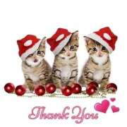 ヒメ日記 2025/12/24 16:16 投稿 松島 熟女の風俗最終章　鶯谷店