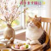 ヒメ日記 2026/03/01 18:16 投稿 松島 熟女の風俗最終章　鶯谷店