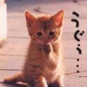 ヒメ日記 2026/03/29 17:56 投稿 松島 熟女の風俗最終章　鶯谷店