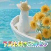 ヒメ日記 2026/07/02 15:26 投稿 松島 熟女の風俗最終章　鶯谷店