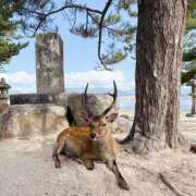 ヒメ日記 2025/08/18 15:01 投稿 姫乃もな 多恋人倶楽部