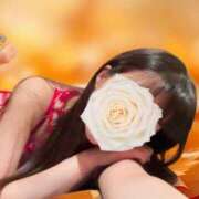 ヒメ日記 2025/10/29 16:02 投稿 姫乃もな 多恋人倶楽部