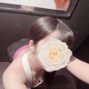 ヒメ日記 2025/12/28 16:01 投稿 姫乃もな 多恋人倶楽部