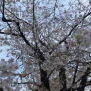 ヒメ日記 2025/04/14 17:26 投稿 ここな One More 奥様　錦糸町店