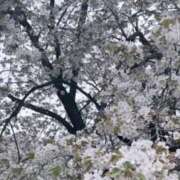 ヒメ日記 2025/04/08 07:03 投稿 あかり One More 奥様　錦糸町店