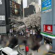 ヒメ日記 2025/04/08 09:10 投稿 中野佐和子 五十路マダムエクスプレス横浜店（カサブランカグループ）