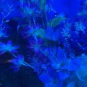 ヒメ日記 2025/02/05 15:29 投稿 カナデ 【福岡デリヘル】20代・30代★博多で評判のお店はココです！