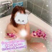 ヒメ日記 2025/02/12 14:12 投稿 カナデ 【福岡デリヘル】20代・30代★博多で評判のお店はココです！