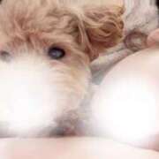 ヒメ日記 2025/02/04 12:15 投稿 あさひ 横浜人妻花壇本店