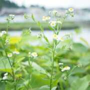 みなみ 本日出勤します🍀 ̖́- 渋谷じゃっくす