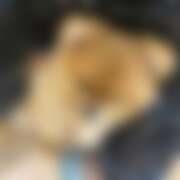 ヒメ日記 2025/11/17 07:06 投稿 なな Respect