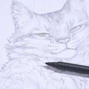 ヒメ日記 2025/06/22 23:50 投稿 ひなの グッドワイフ