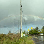 ヒメ日記 2025/03/10 19:35 投稿 しおん バイオレンス