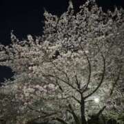 ヒメ日記 2025/04/22 23:55 投稿 しおん バイオレンス