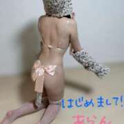 ヒメ日記 2025/01/31 22:49 投稿 あらん OL倶楽部