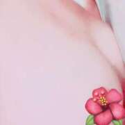 ヒメ日記 2026/08/29 19:49 投稿 あんず 即アポマダム～名古屋店～