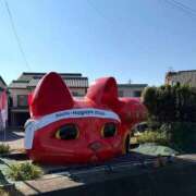 ヒメ日記 2026/10/11 12:02 投稿 あんず 即アポマダム～名古屋店～