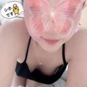 ヒメ日記 2025/03/19 08:21 投稿 佐藤シホ 池袋㊙エステ～フル勃起～