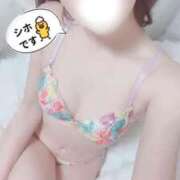 ヒメ日記 2025/03/26 12:02 投稿 佐藤シホ 池袋㊙エステ～フル勃起～