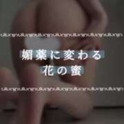 ヒメ日記 2025/02/05 17:02 投稿 夏目ひかる 池袋㊙エステ～フル勃起～