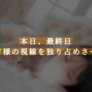 夏目ひかる 本日、最終日貴方様の視線を独り占めさせて 池袋㊙エステ～フル勃起～