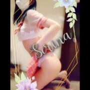 ヒメ日記 2025/06/13 14:00 投稿 音藤 瀬莉奈 ハールブルク