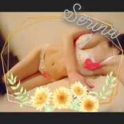 ヒメ日記 2025/08/20 01:45 投稿 音藤 瀬莉奈 ハールブルク