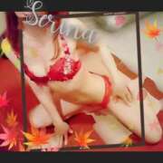 ヒメ日記 2025/10/08 02:00 投稿 音藤 瀬莉奈 ハールブルク