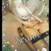 ヒメ日記 2025/12/09 04:20 投稿 音藤 瀬莉奈 ハールブルク