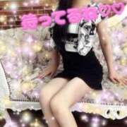 ヒメ日記 2025/02/10 08:01 投稿 新人てまり 石巻 奥様食堂