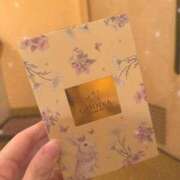 ヒメ日記 2026/03/30 20:32 投稿 うる お姉京都